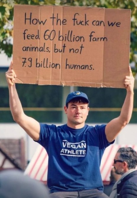 Christel (@christeldehaas) on Twitter photo 