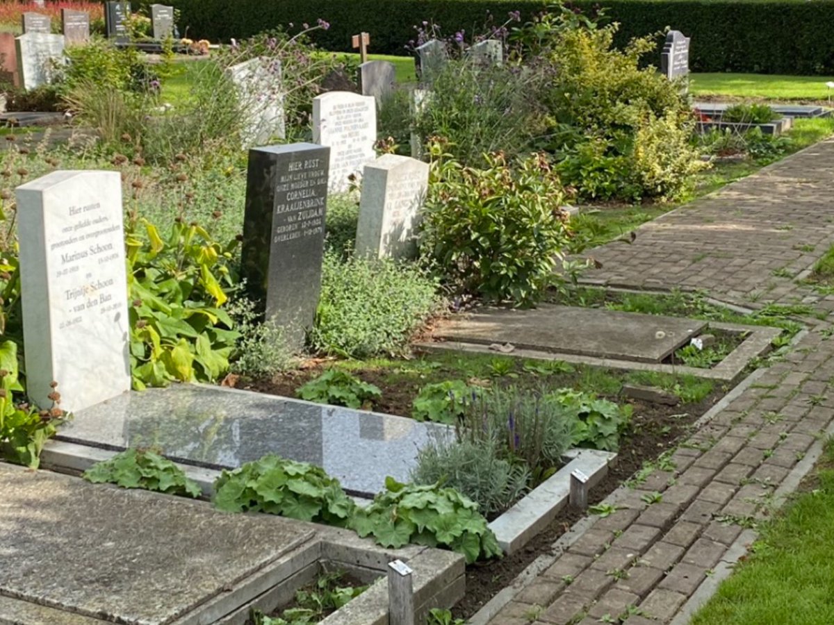 Op de fiets naar de begraafplaats in Vierpolders, mijn beide ouders liggen daar begraven. 
En dan mijn bezoek aan de begraafplaats, het gras gemaaid, heggen gesnoeid en onkruid verwijderd het ziet er mooi uit.

Compliment Voorne aan Zee.