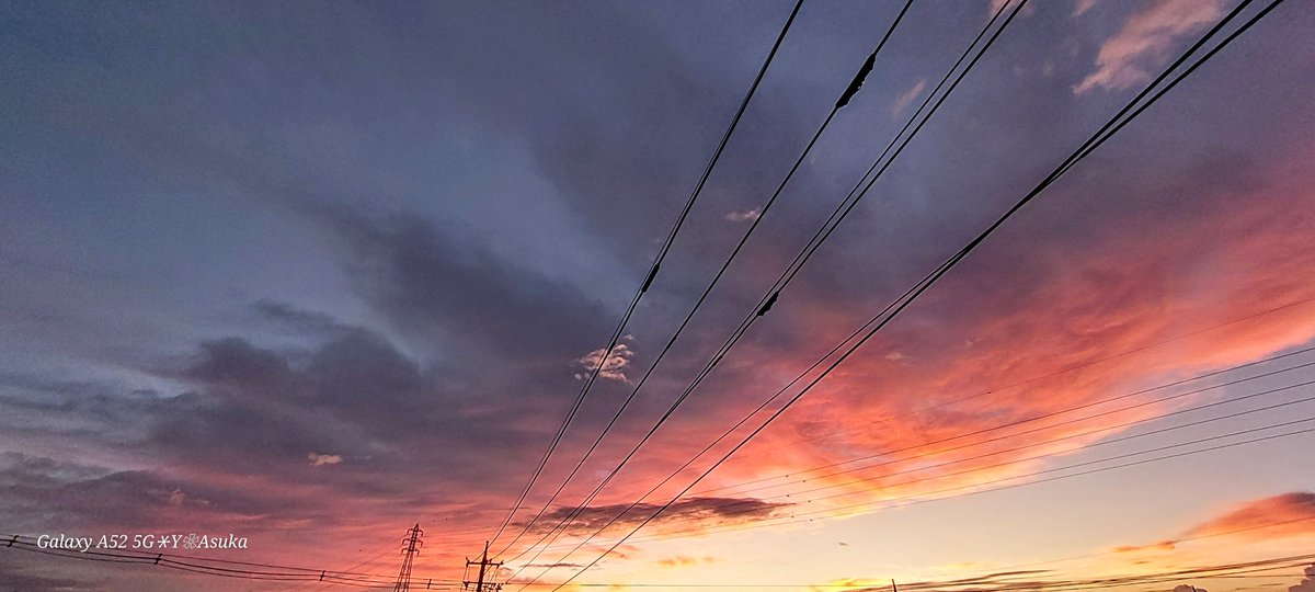yumeasutw's tweet photo. 深まる夕焼け色🌆

空の彼方で沸き立つ #入道雲

日が沈むにつれ
雲の東側から
夕焼け色が消えて
行きます。

#夕空から目が離せない
#空の名前
#天気の図鑑 #雲の超図鑑 #雲友の会
#夕空 #夕焼け #鉄塔 #電柱 #電線
#マジックアワー #薄明 #sunset
#放射状雲
#a2023  #a0903 #a202309 https://t.co/gTvxsoCl1Y
