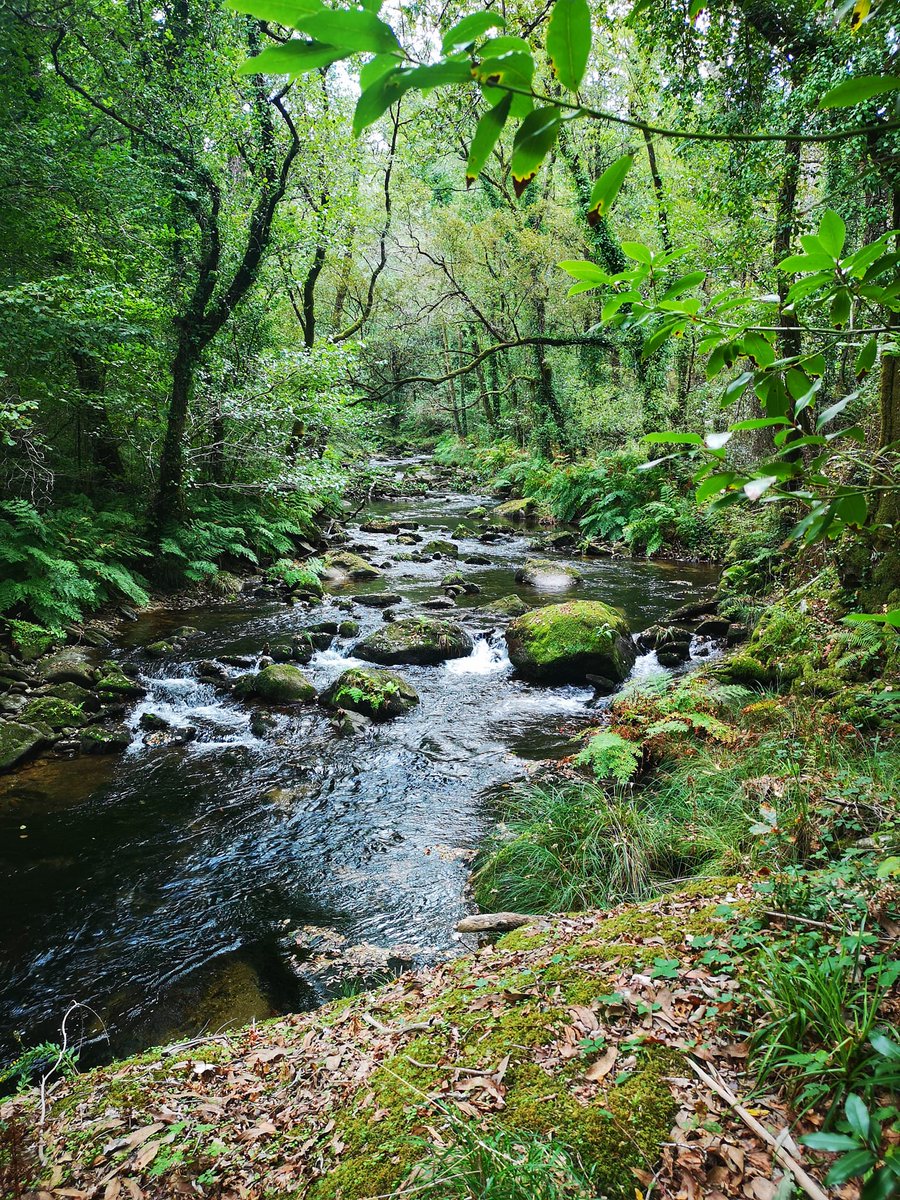 Ruta de Senderismo / Toxosoutos
DOMINGO 10/9/23 / 9:45 h
- INFORMACIÓN: 609531105 / Sindo
- INSCRÍBETE AQUÍ: galiciasenderismo.com/reservar-ruta
