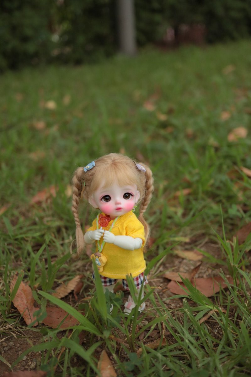 코코냥 tweet media