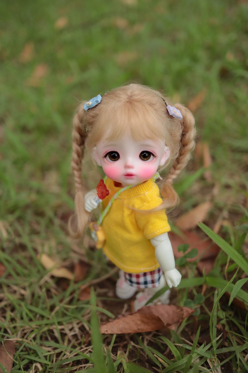 코코냥 tweet media