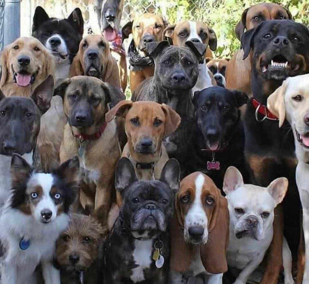 Mutubulwa's tweet image. Manchester united fans today at bars 😂