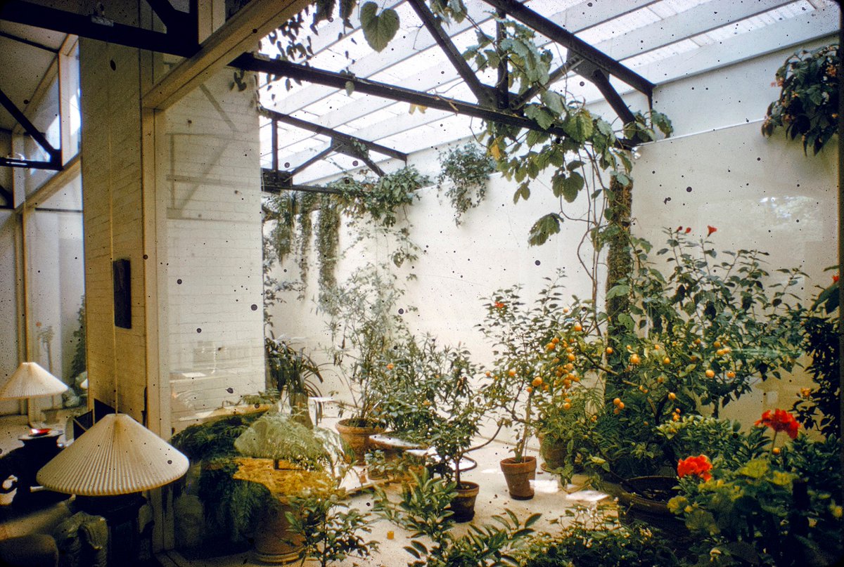 PaulRudolphInst's tweet photo. McCandlish Residence in Cambridge, Massachusetts, designed by Paul Rudolph in 1958.⁠
⁠
https://t.co/nsd8grnBgI⁠
⁠
#paulrudolphinst #paulrudolph #contemporary #midcenturymodern #midcentury #reuse #architecture #архитектура #بنيان #건축학 #arkitektur #architettura #建筑学 https://t.co/vFdtVITNyz