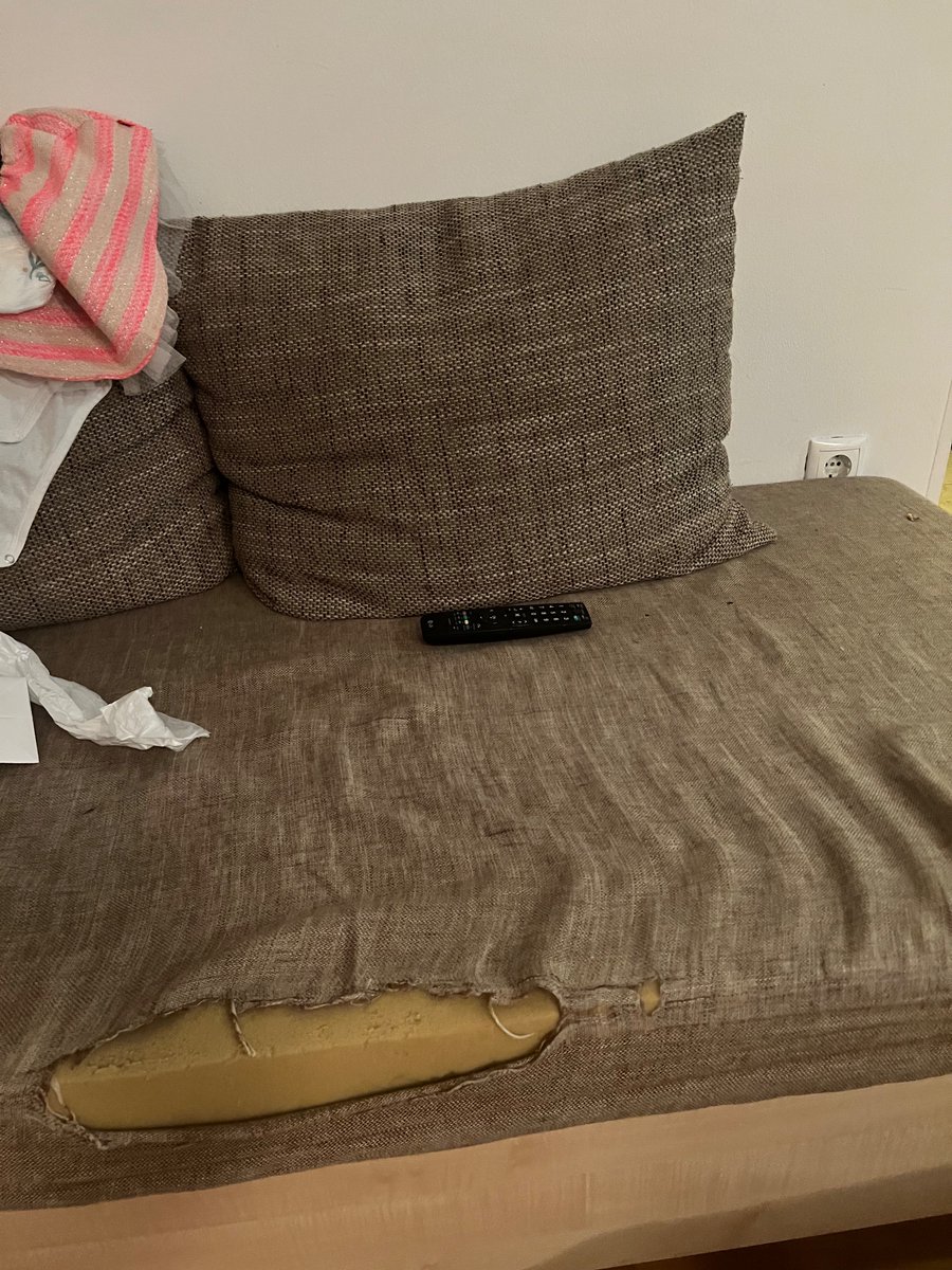 Benn Glazier (He/Him) (@bennglazier) on Twitter photo Hi <a href="/bookingcom/">Booking.com</a>. Do you think this is reasonable? Mould, mouse poop, dangerous flooring, torn furnishings... and there's more - it's disgusting. However, your first line of customer service thinks it's ok. A far cry from the pictures on your site - booking.com/Share-Zid6cqP Hi <a href="/bookingcom/">Booking.com</a>. Do you think this is reasonable? Mould, mouse poop, dangerous flooring, torn furnishings... and there's more - it's disgusting. However, your first line of customer service thinks it's ok. A far cry from the pictures on your site - booking.com/Share-Zid6cqP