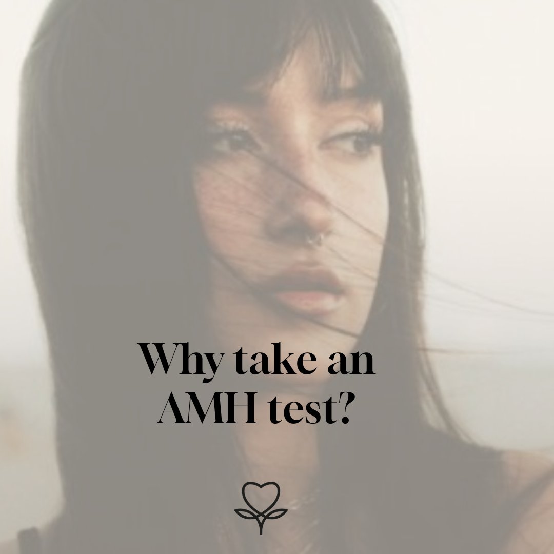 AccessFertility's tweet image. AMH testing can help you make informed decisions as you begin your fertility journey. ✨

➡️ Read more: eu1.hubs.ly/H05bGfs0

#womenshealth #amhlevels #accessfertility