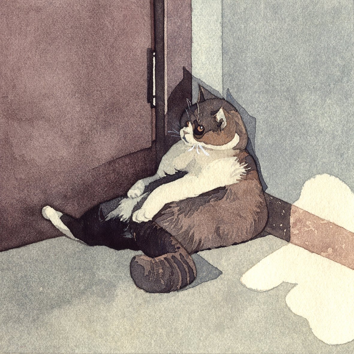 「light, shadow, cats.  门边的小豆。」|GEGYjijiのイラスト
