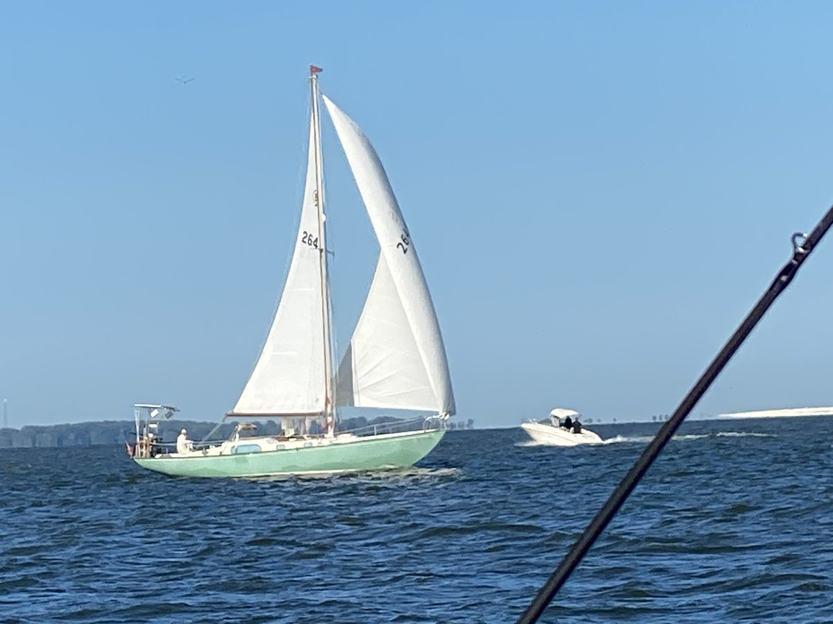 Sandusky_Bay's tweet photo. A Rhodes Bounty 2 cruising the bay! #ShoresandIslandsOhio #SanduskyOH #Lakelife #Lakeerielove #Lakeerie #CityofSandusky #SanduskyBay #Ohio  #sanduskysailingclub #sail #sailing #sailinglife #Sloop https://t.co/oChV50RHHU