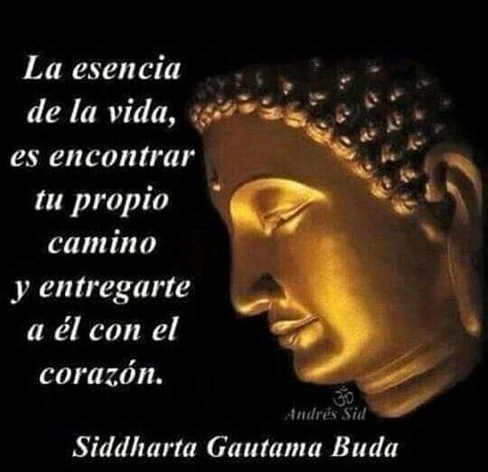 Namaste_mandalas (@namaste_mandala) on Twitter photo 