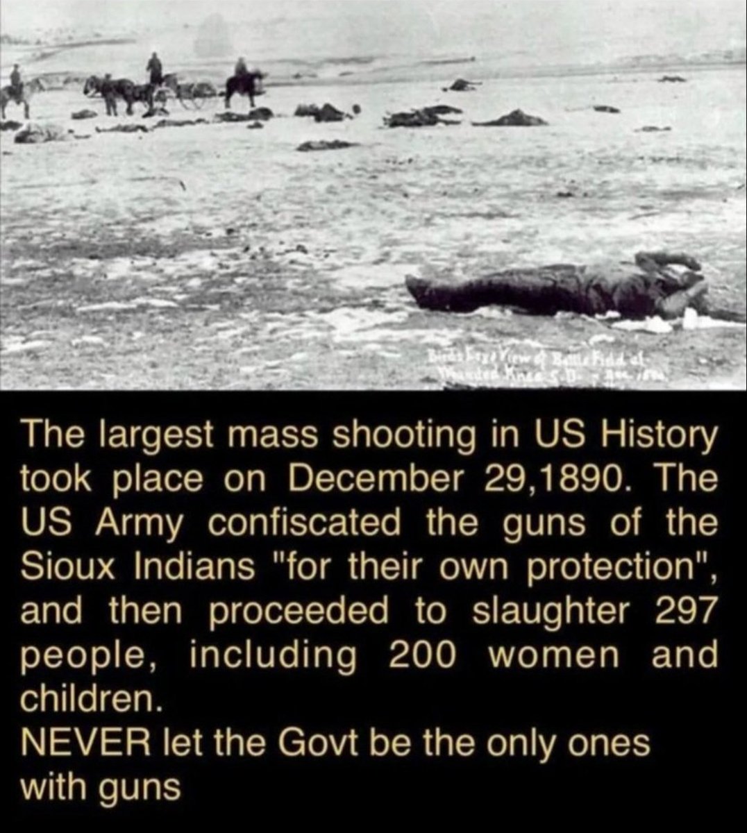 DruidRayell's tweet image. #2A #AntiGunControl " We're from the government here to protect you" - You are in danger😅