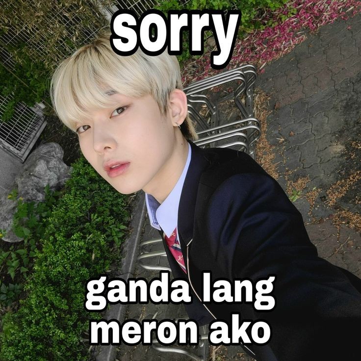 yoq n saenyu d niyu ak penapenasen
