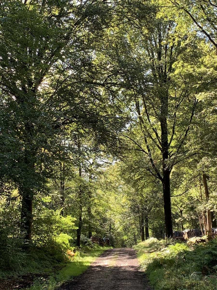 In-spiration. 

#inspiration #nature #fontainedaniel