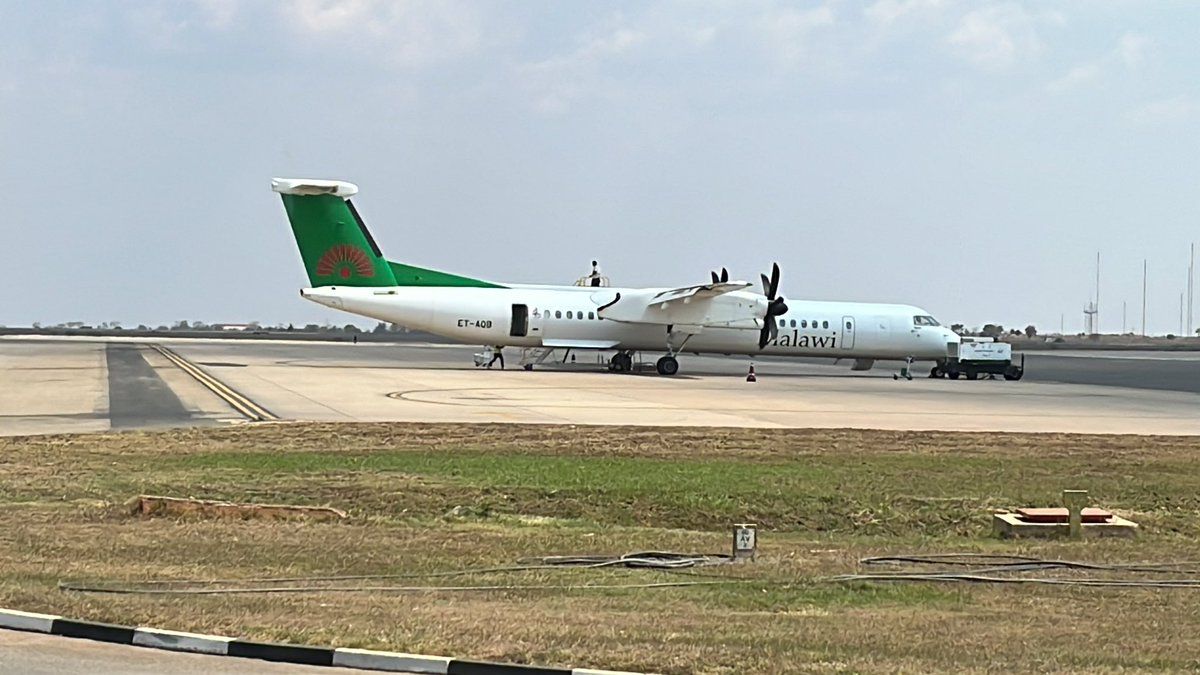 Chiponosko tweet media