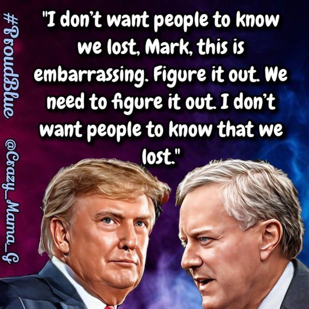 CharlotteHenry5's tweet photo. @ResisterSis20 @mtgreenee, one has to ask, is $183,000 the going rate for committing Sedition? That seems a low $$ to receive for betraying the country that many lost their lives to save &amp; this is how you betray our fallen heroes...with disdain! A pox on you for trying to destroy our democracy! https://t.co/zcgx6GzHAK