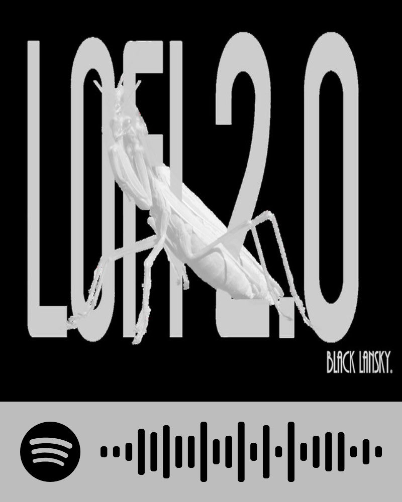 CumulativeWeb's tweet photo. LOFI 2.0 Streaming on Spotify @spotifyartists @SpotifyJP @SpotifyCanada #lofichannel #Spotify https://t.co/yrl1bIdUll LOFI 2.0 #lofimusic #BEATS #lofisong @LofiFox_ @yotsugi_lofi @lofigirl @lofioriginals @lofimichael @TheVoiceOfKick ADD TO YOUR PLAYLIST #subscribe #cumulativeweb https://t.co/pELlQyfAkd