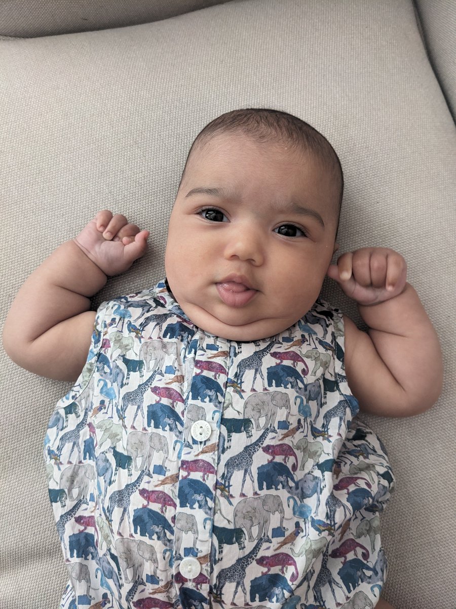 Alice Stride tweet media