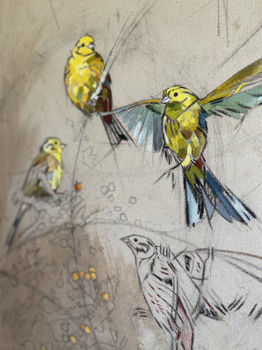 Yellowhammer flock, inspired by sightings in the #Lincolnshirewolds Work in progress 
#aonb @LincsWoldsAONB #wildlifeart #britishart