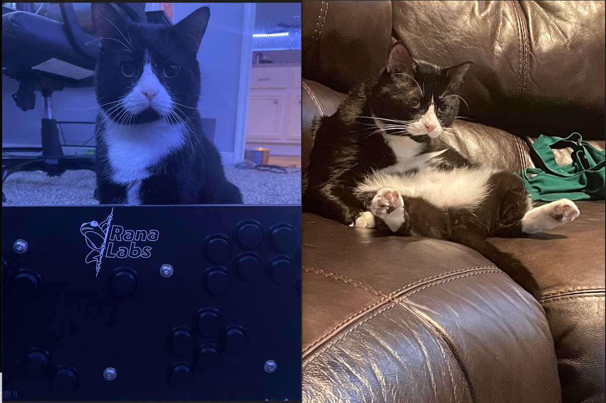 BrilliantBoxxes's tweet photo. Starting ranked on slippi with your new boxx controller from bloody brilliance.
VS.
Going 0-10 and and realizing the OEM wasn't the problem. Now you have to contact Bloody Brilliance about PHOB Controller.
#SmashBros #Melee #BoxxController #PHOBGCC https://t.co/eG8y4qDPvC