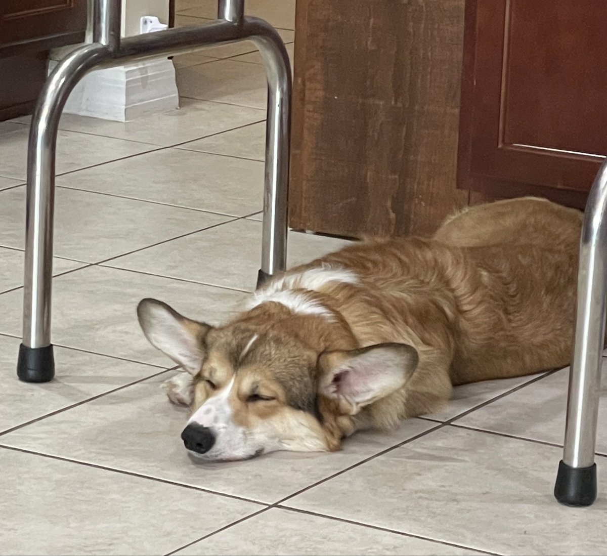 Rugby Jones 🇺🇸 tweet media