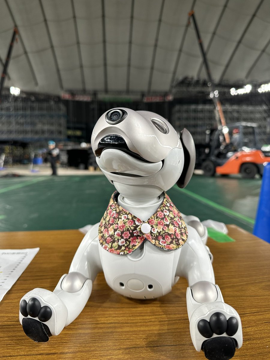 ひろ＠東京ドーム😎
히로 도쿄돔에 오다!!