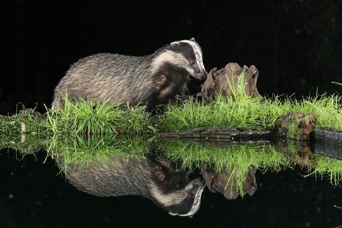 border70's tweet image. A very enjoyable Friday night/Saturday morning.