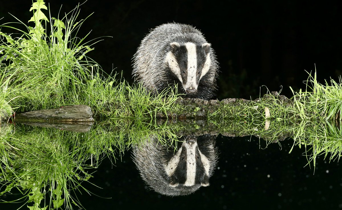 border70's tweet image. A very enjoyable Friday night/Saturday morning.