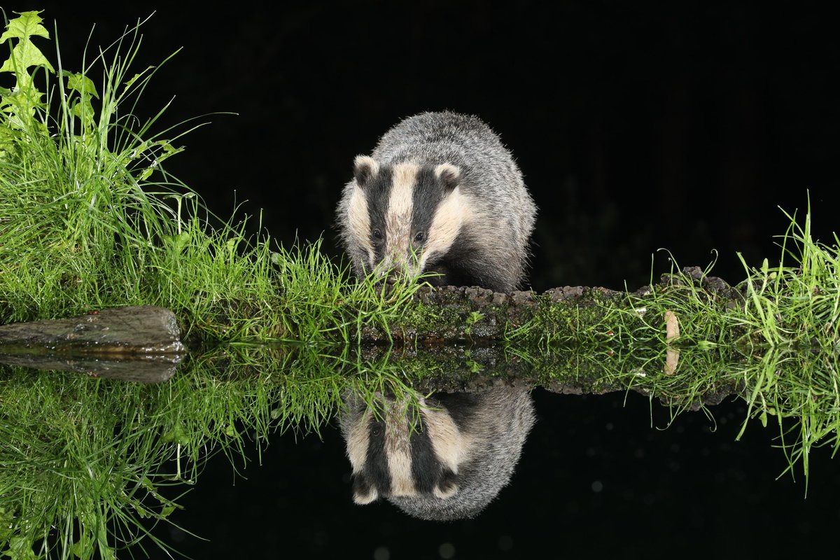 border70's tweet image. A very enjoyable Friday night/Saturday morning.