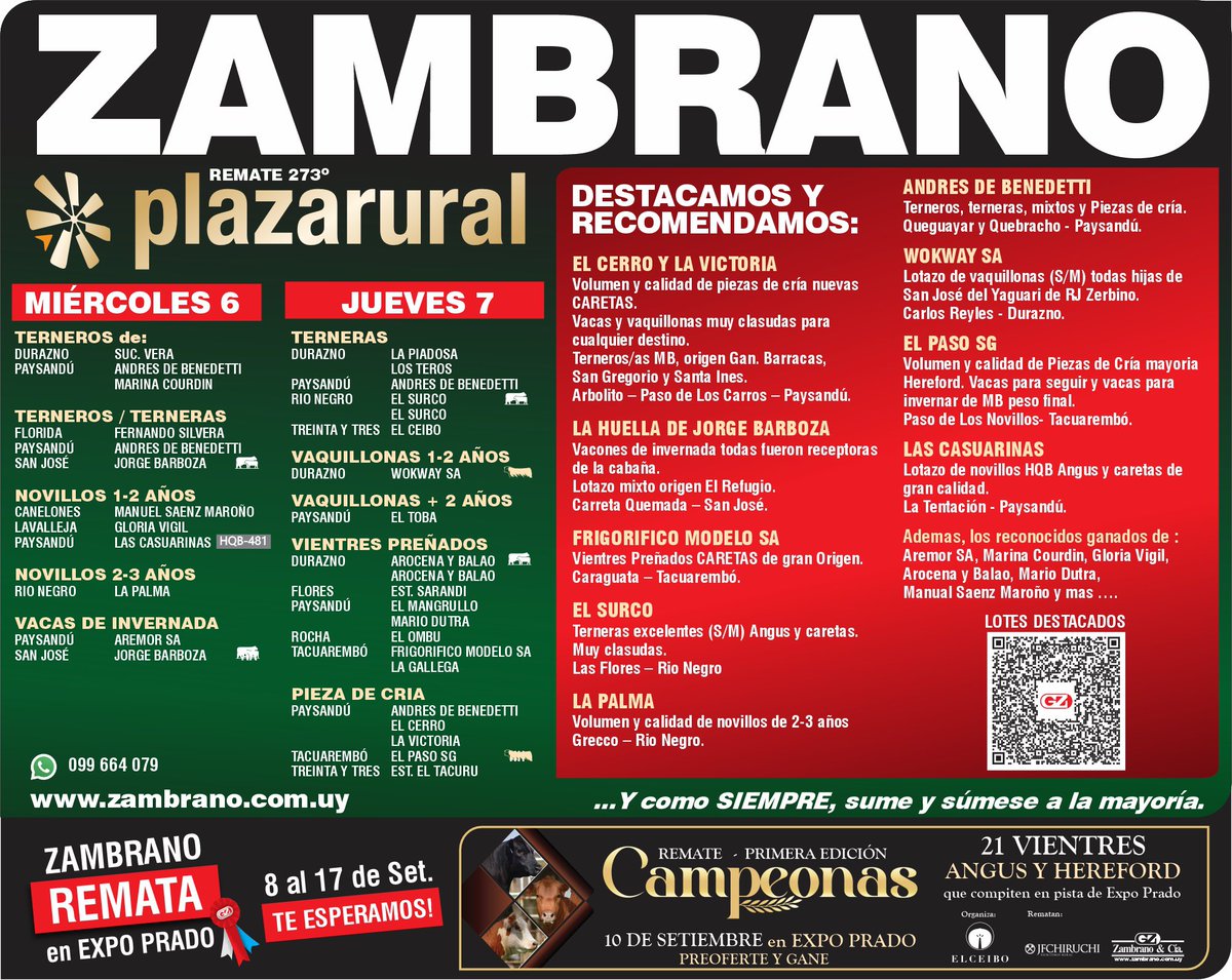 Arranque Setiembre haciendo solo  buenos negocios 

Zambrano con la mayor y mejor oferta de plaza como todo el año

Vea lotes aqui acortar.link/RUDCrV

Consultenos! 099664079

#plazarural #zambranoremata #tuproduccionalsiguientenivel #unlugardebuenosnegocios