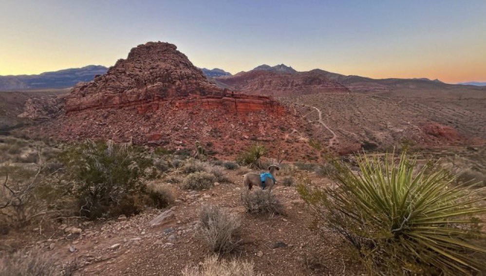 Gm ☀️

if you reply to my posts, huge thank you 🫶🏻

i want to support ur NFTs &amp; connect 👇🏻

Go Outside Today 🌵
(We hike on Sunday)🐕