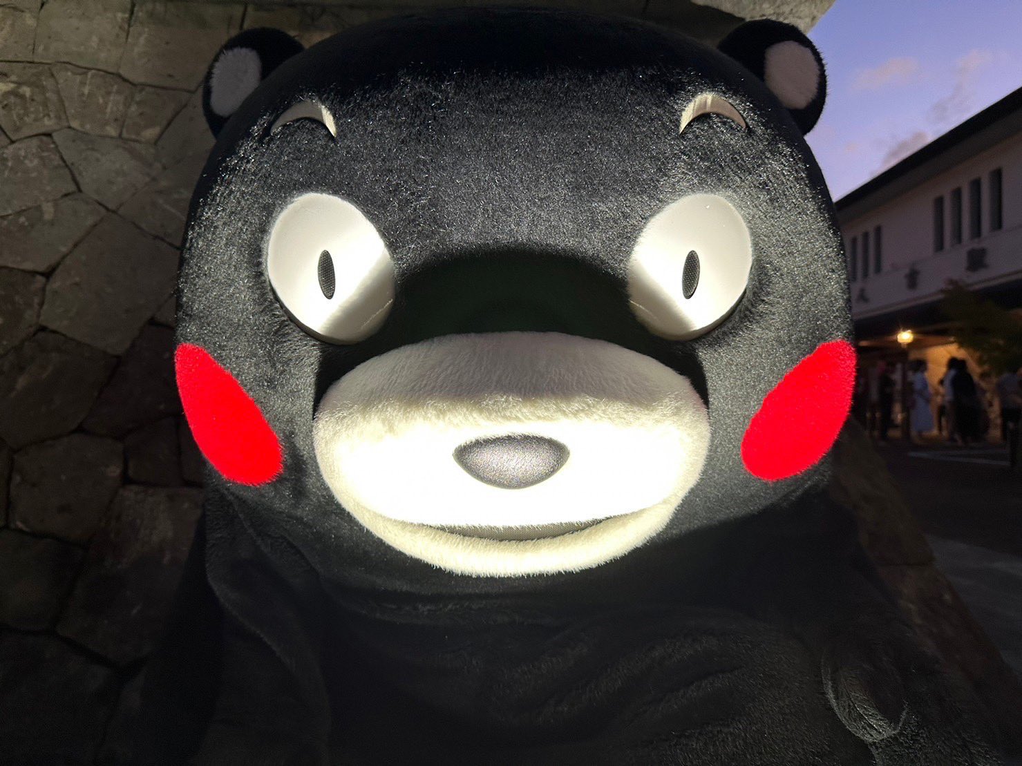 くまモン【公式】 on X: くまモン【公式】 on X: