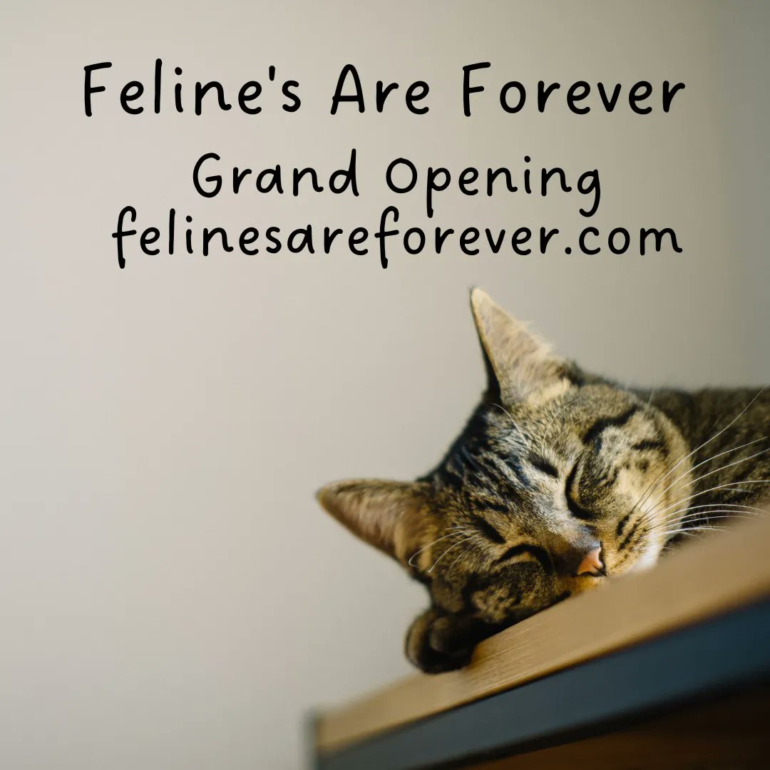 Good morning, Enjoy your day with your fur baby!
#catjoy #catlovers #furbaby #catlife #catsareamazing