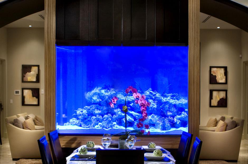 SaltwaterAq's tweet image. For a more salle-a-manger inspired tank, check out Shah Luxury Home’s dazzling dining setup. 
.
. 📷 Shah Luxury Home
.
#reeftank #reeftanks #reeftanksofinstagram #coralreeftank #nanoreeftank #fishtank #aquarium #aquariums #corals #allmymoneygoestocoral #reef2reef #sealife