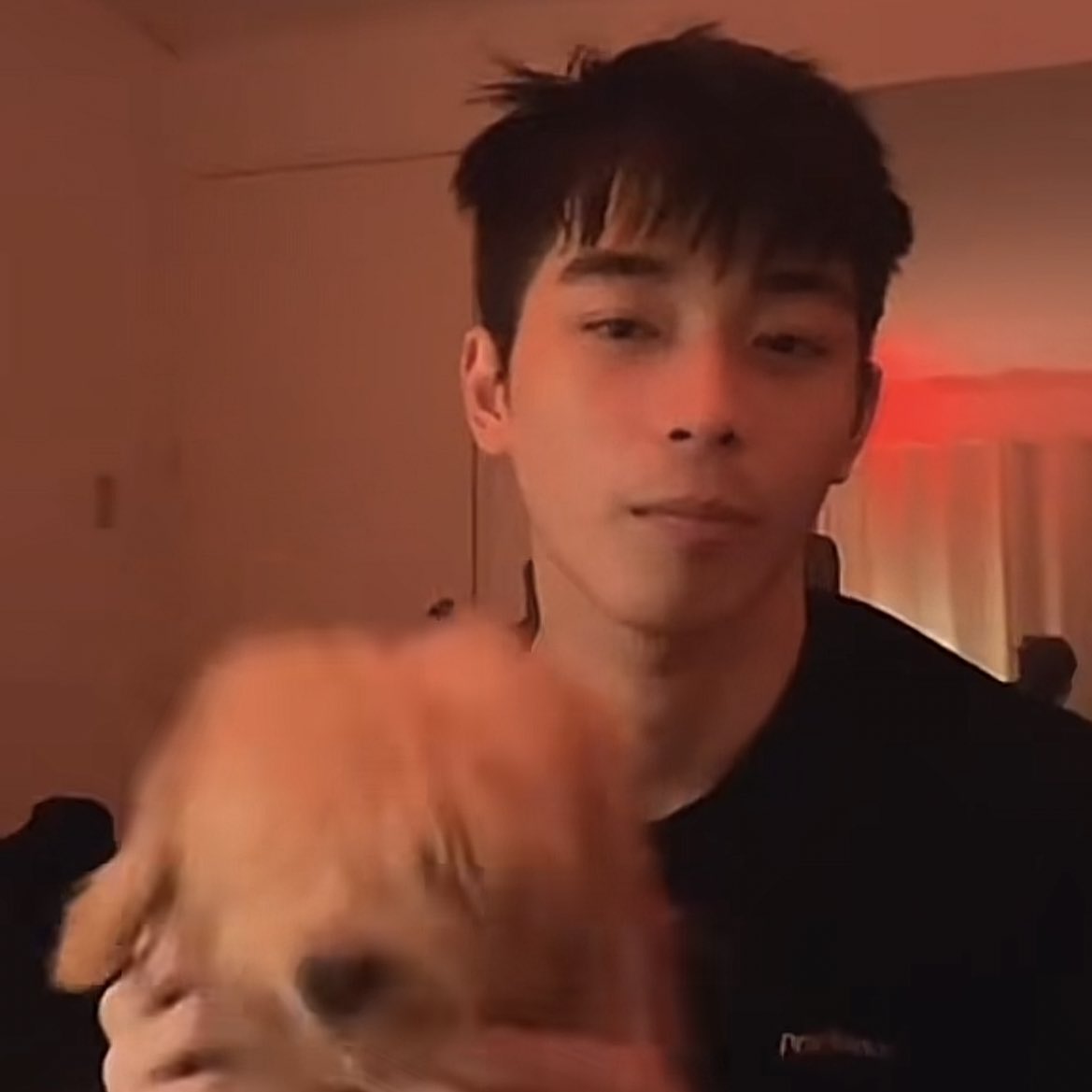01zgallery's tweet photo. them with their 🐶 https://t.co/wvNxVtnUWj