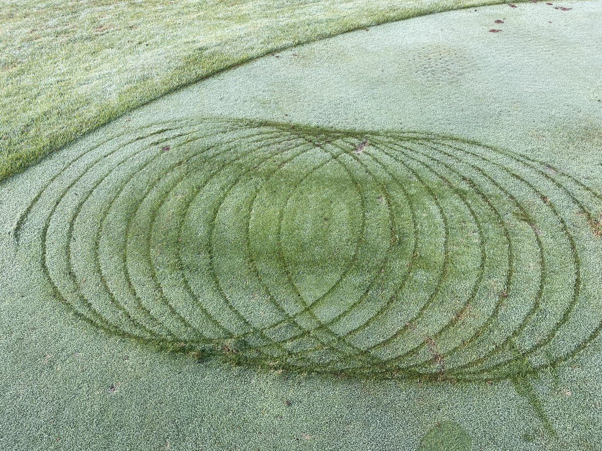 chris chapman tweet media