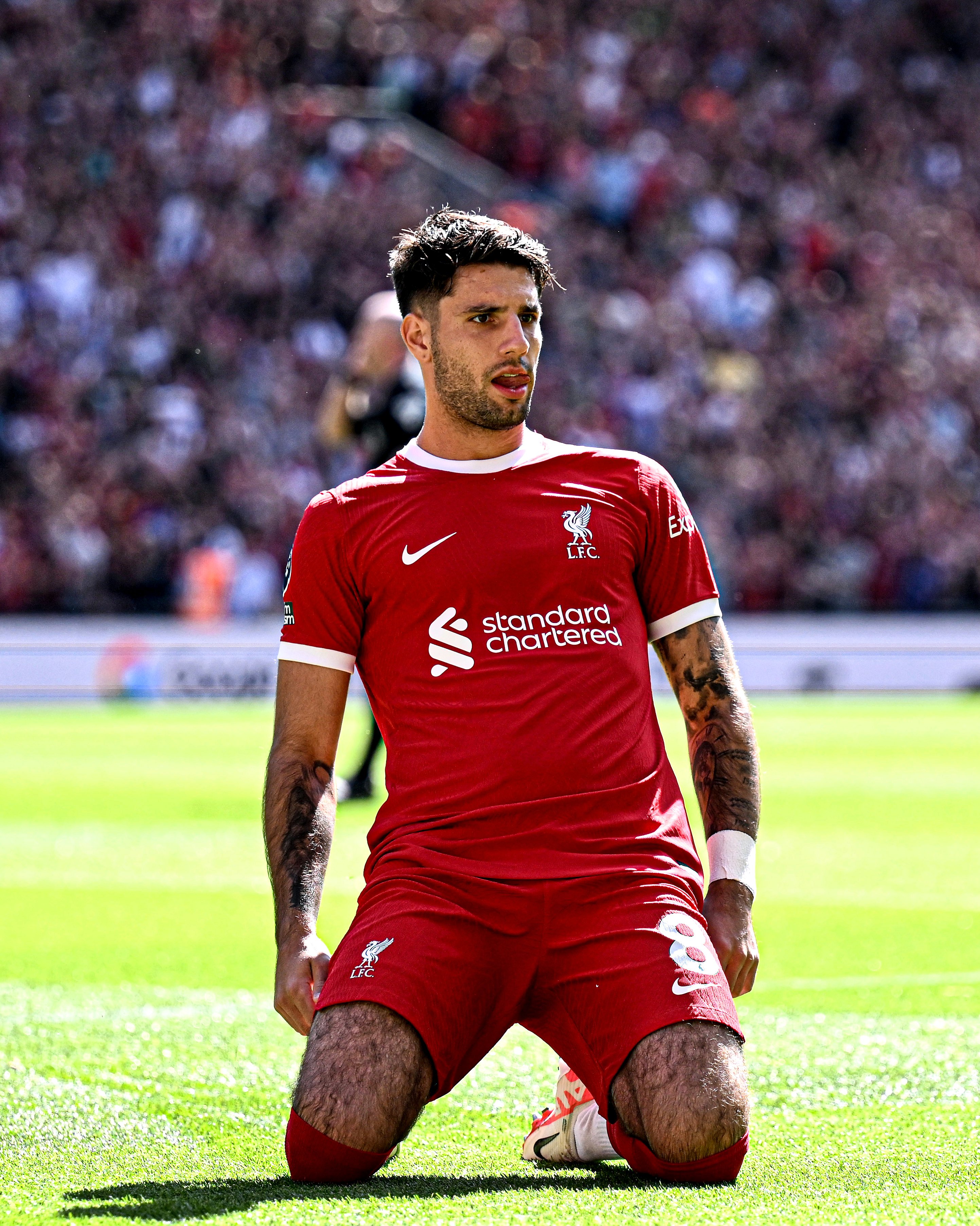 GOAL on X: "Dominik Szoboszlai's first Liverpool goal was a screamer https://t.co/VE1U0uxdLO" / X