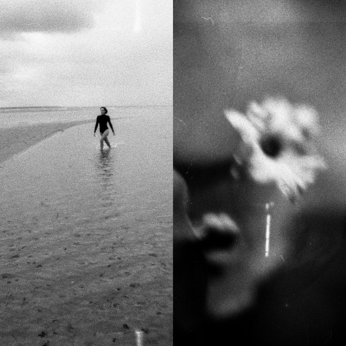 experimental photography.

#35mmfilm developed with coffee