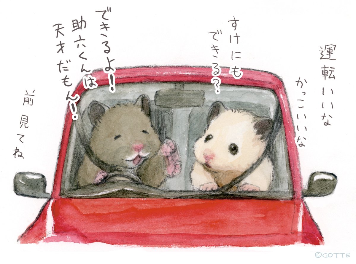 Post by GOTTE on X: 免許くだちゃい！