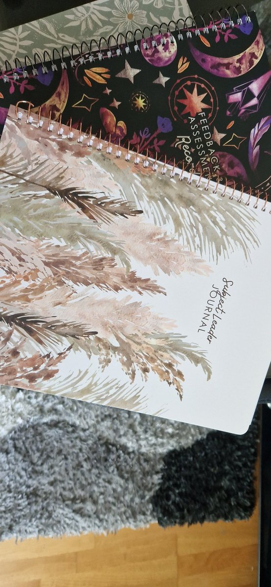 bampanatsa's tweet image. So excited to receive my positive teacher planners #TPTC #MYTPTCWEEK