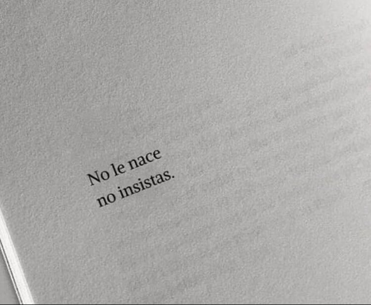 No insistas 📝