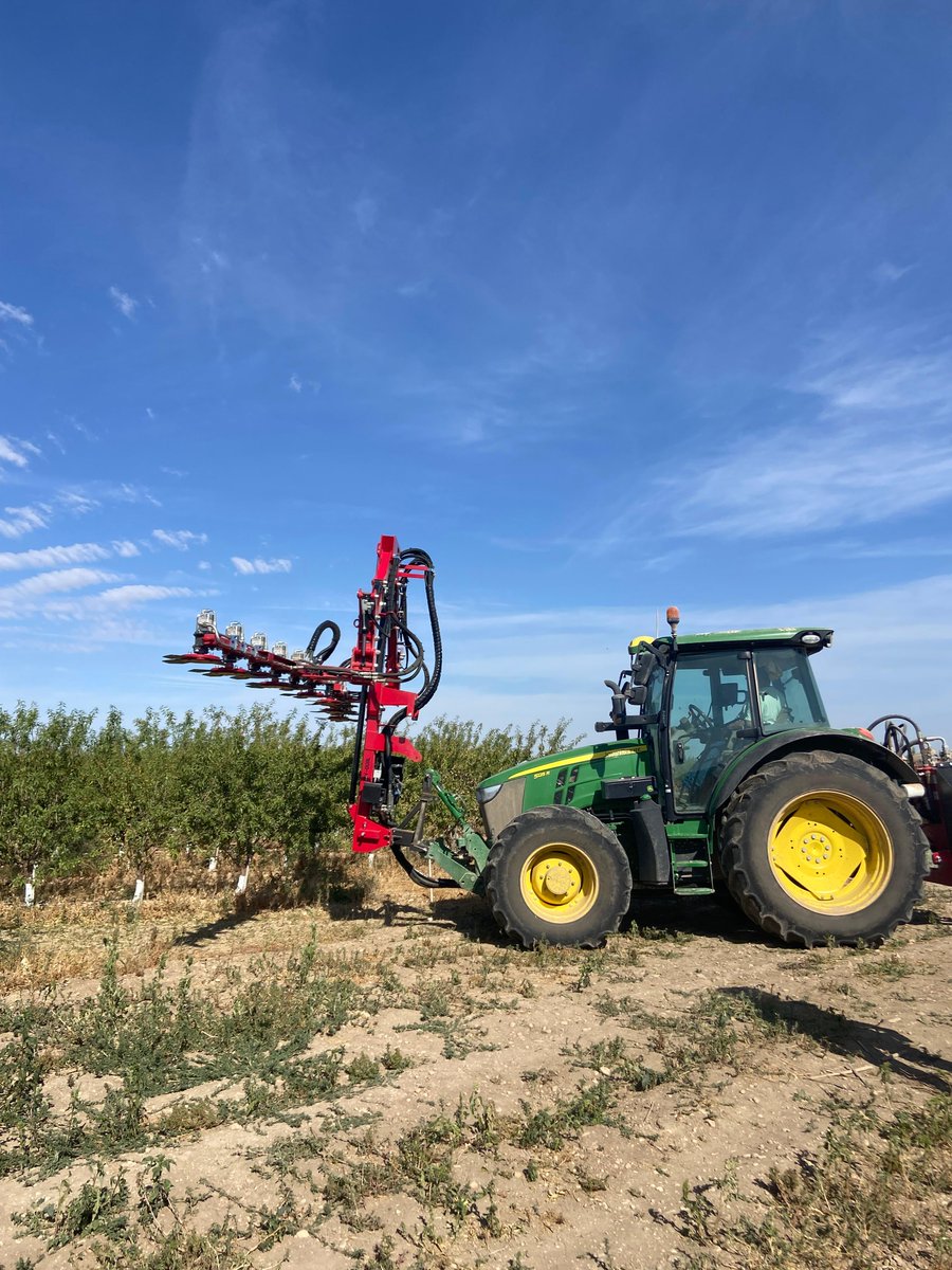 Agromillora_'s tweet image. 🌳¡Nueva jornada #DemoTour en Albacete!
Gracias a todos los asistentes y colaboradores que nos acompañaron en una jornada de cosecha #almendro en seto, demostración de maquinaria e intercambio de conocimientos.
¡Seguimos con DemoTour! ➡️media.agromillora.com/es/demotour