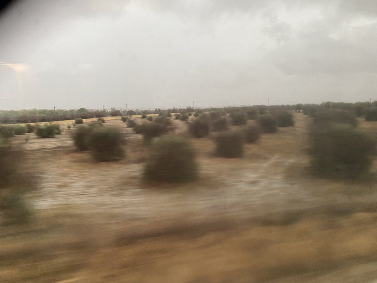 Christiane Lambert tweet media