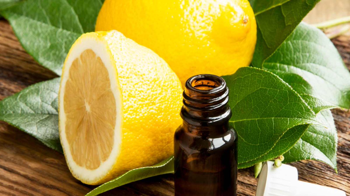 Using lemon oil can help several aspects of digestive health. A well-designed study looking at pregnancy-induced vomiting was conducted in 2014. Pregnant women received either lemon essential oil or a placebo and were instructed to put 2 drops of oil on a cotton ball and…