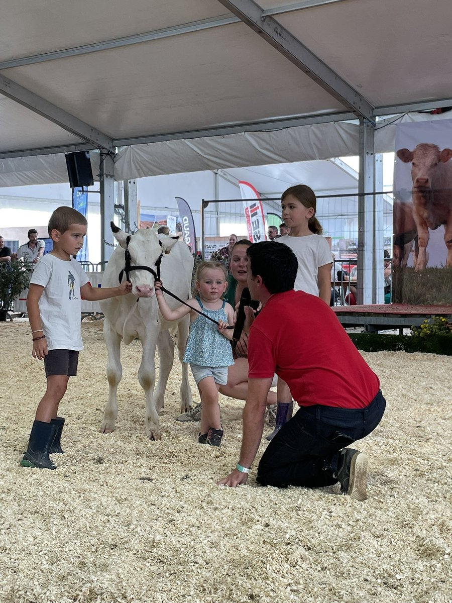 Ariane, 3 ans, présente sa génisse de 3 mois, petite fille de la grande championne du concours <a href="/PrimHolstein49/">prim'holstein 49 </a>