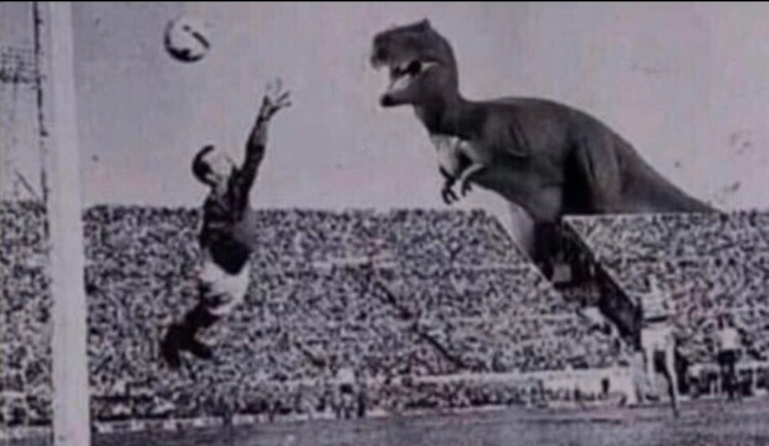 𝙅𝙊𝙉𝘼𝙎 🌪️ BACK UP tweet media