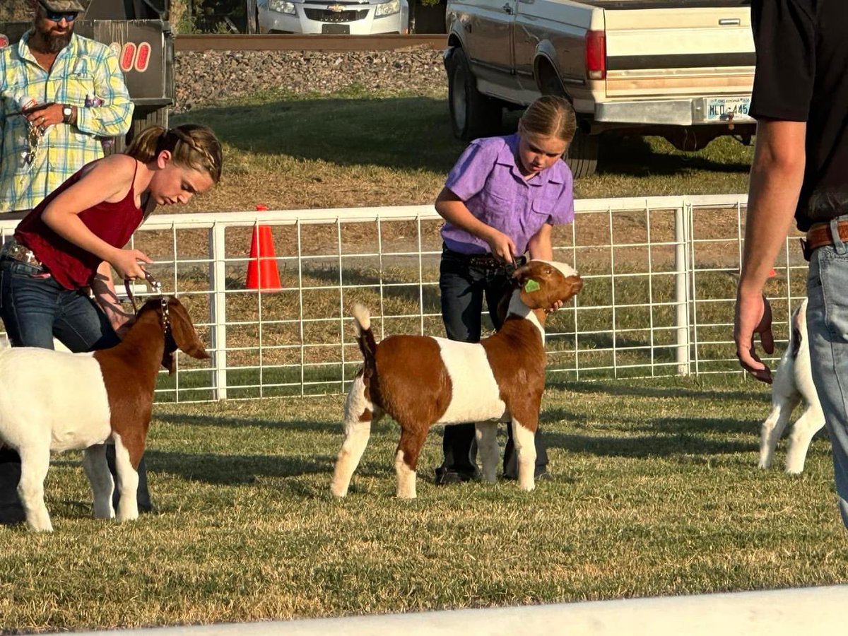 CentralHighFFA1's tweet photo. Kalvary McCarley placed third at the Fletcher free fair https://t.co/m3oWqZJkX6