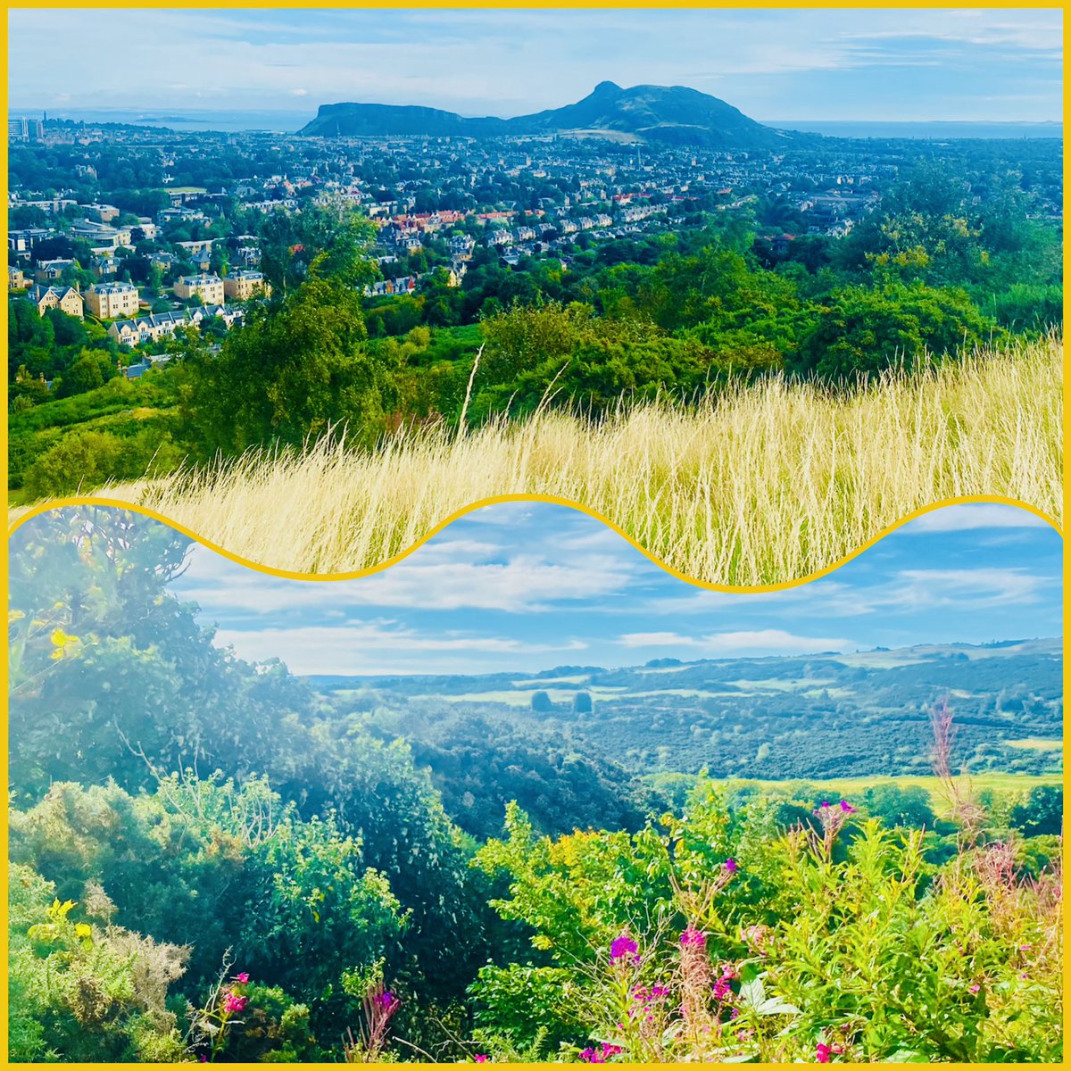 JudeMckerrecher's tweet image. Appreciating a gentle Sunday, beginning with the sweetest, loveliest strawberries, then a wonderfully colourful walk, reading a good book outside &amp;amp; yoga in☀️🌳 - luckily hidden from view by trees in a wild shared garden😂🫶! #Reenergise #Restore  Grateful for #Tinymomentsofjoy☯️