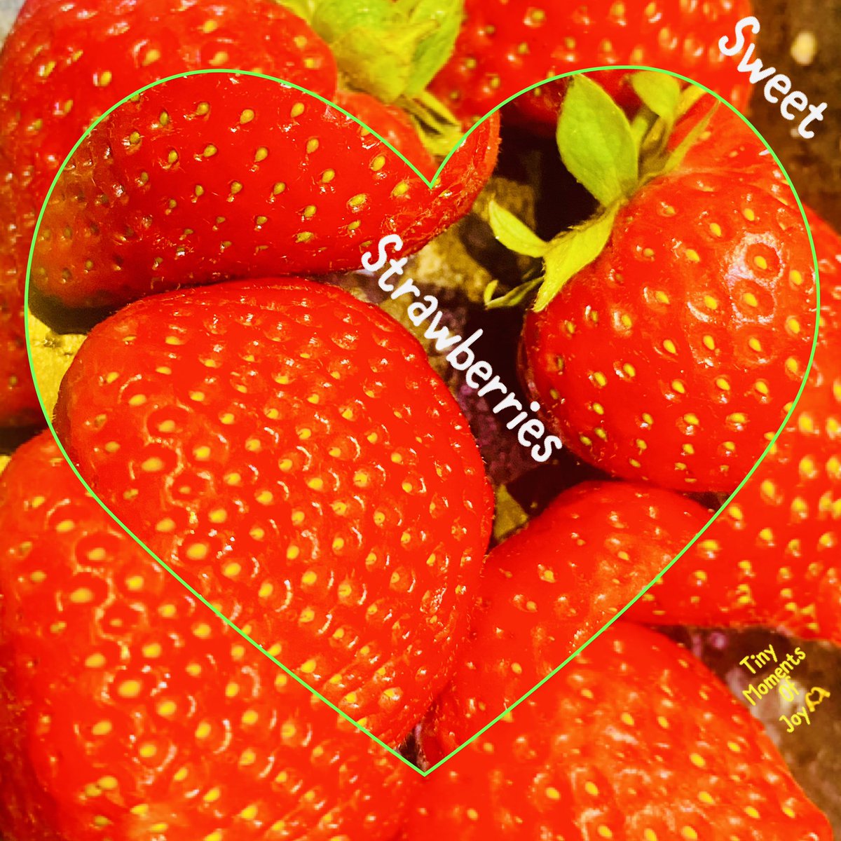 JudeMckerrecher's tweet image. Appreciating a gentle Sunday, beginning with the sweetest, loveliest strawberries, then a wonderfully colourful walk, reading a good book outside &amp;amp; yoga in☀️🌳 - luckily hidden from view by trees in a wild shared garden😂🫶! #Reenergise #Restore  Grateful for #Tinymomentsofjoy☯️
