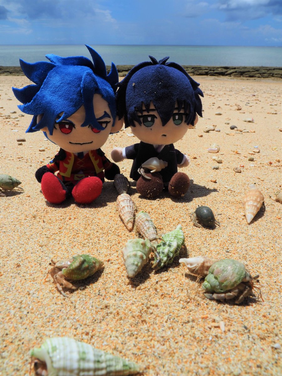 b1ue_k's tweet photo. うちのぱぺ愛忠にも石垣島へ旅行に行きました🏖️ https://t.co/inS6Z54RLN
