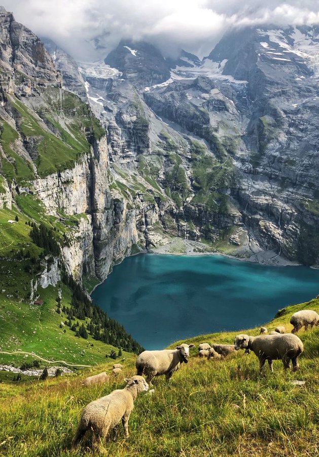 Oeschinensee Lake, Switzerland 🇨🇭