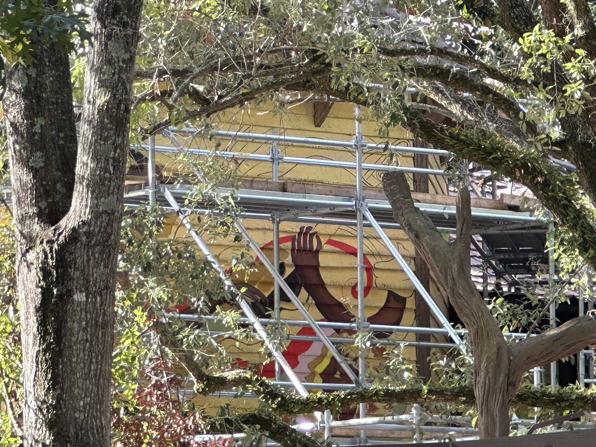 MickeyBlog_'s tweet photo. We spotted a mural being painted in the queue for Tianaโs Bayou Adventure ๐ธ
#tiana #tianabayouadventure #disneyconstruction #magickingdom https://t.co/sAUQadfH53